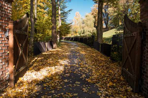 Aleja Lipowa (Linden Avenue) leading to the museum