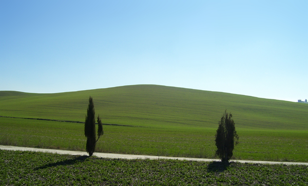 Val D’orcia landscape