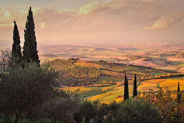 Montalcino, View of the Landscape