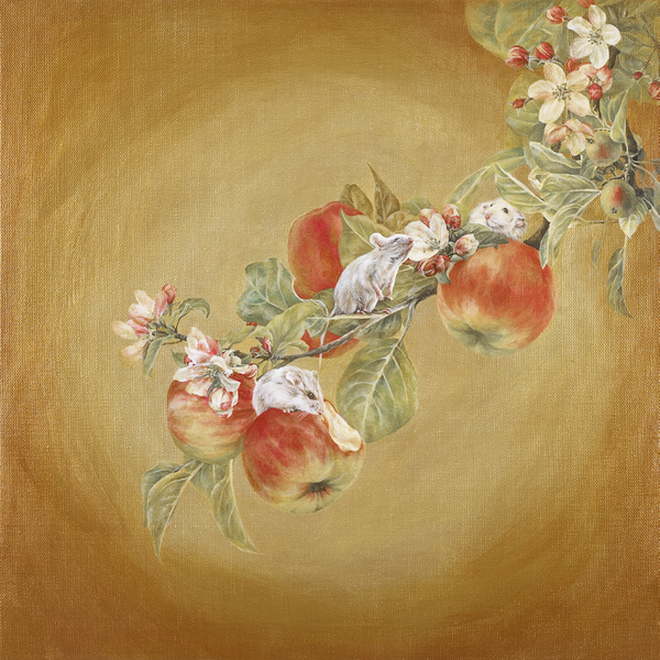 허은오, 사과와 흰쥐, 캔버스에 혼합재료, 40×40cm, 2020