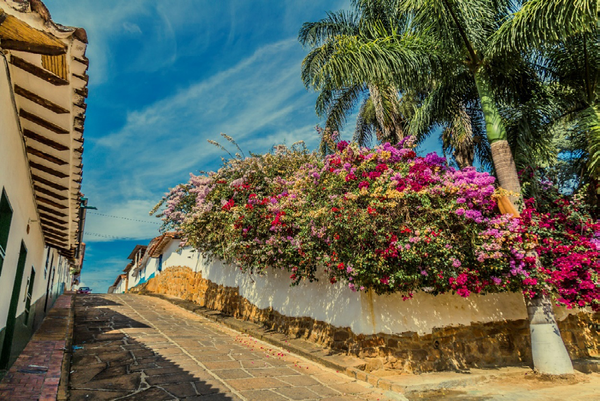 Barichara의 하늘, 돌길과 원색의 다양한 꽃들