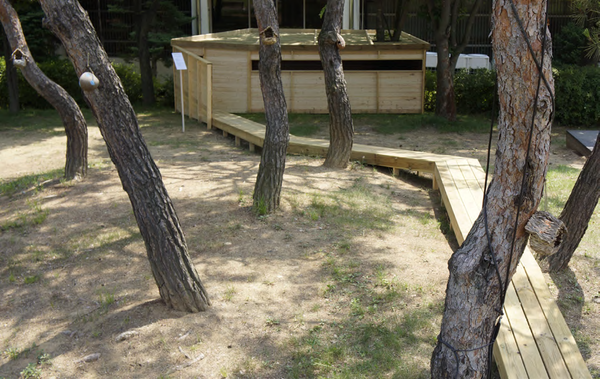 천대광, 나무그늘 길 작품으로 이어지는 길이 20m에 폭 1m의 목재 산책로