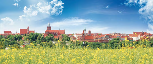Panorama view of Chełmno. Photo: Elżbieta Pawelec