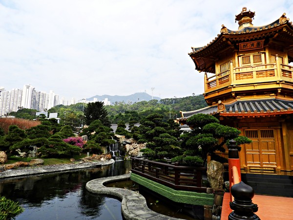 photo by Rajiv Bajaj