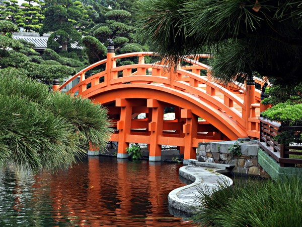 photo by Rajiv Bajaj