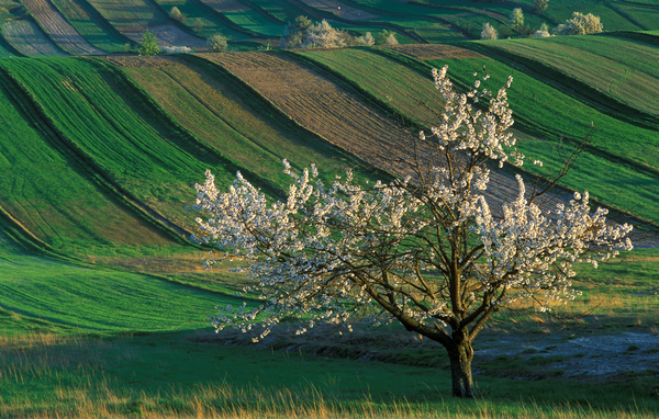 Characteristic landscape nearby the Park (photo by Paweł Marczakowski)
