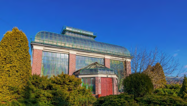 Książ Castle in Wałbrzych, Palm House