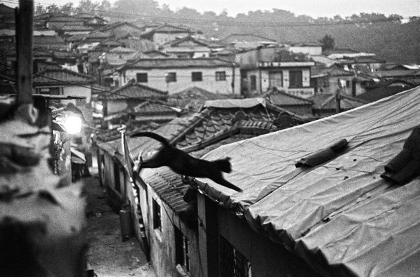 케이티김, 난곡, 서울 1999. visionaire 41 world 소개