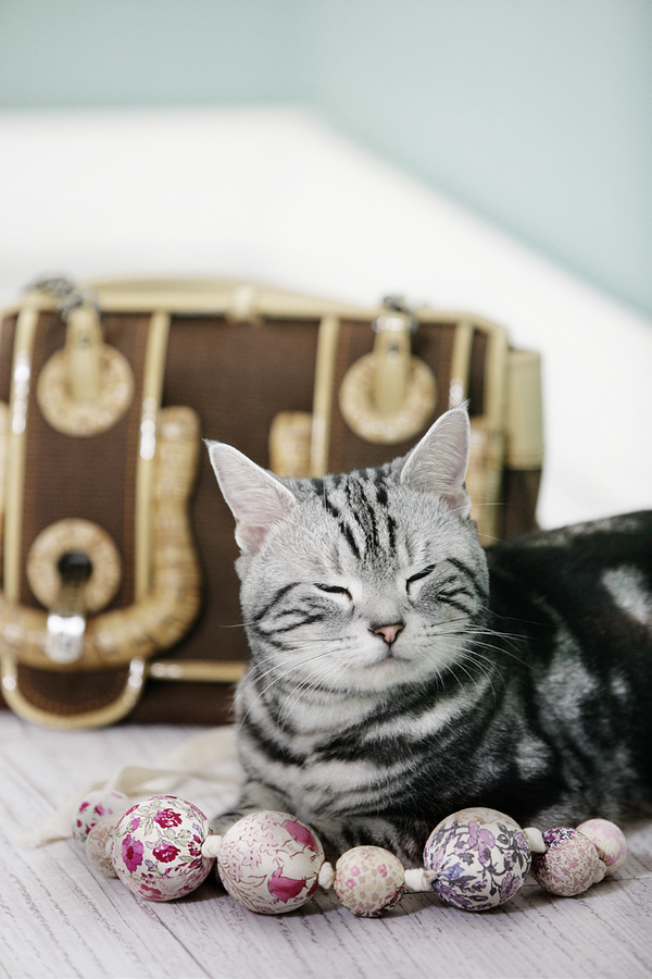 케이티김, 루이비통, 2007 보그코리아 에디토리얼(에디터 이정금) 작업