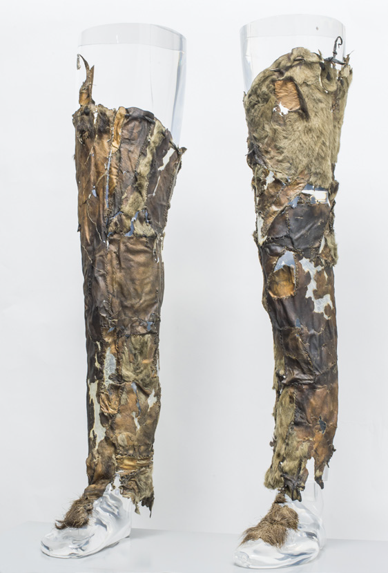 ORIGINAL REPORT FROM THE MUMMY