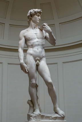 The Statue of David(Michelangelo, 1501-1504),Galleria dell'Accademia, Firenze