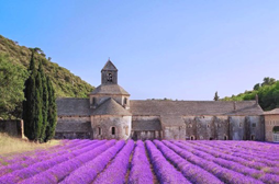 고르드의 세낭크 수도원