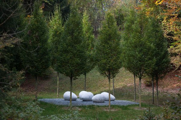 Nils-Udo - Nido di Sella II - Copyright Arte sella