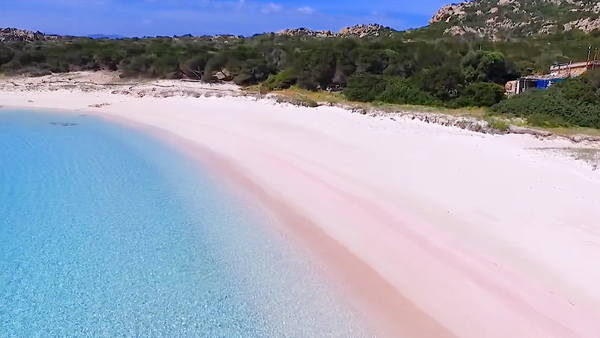 Pink Beach of Budelli Island, Sardinia