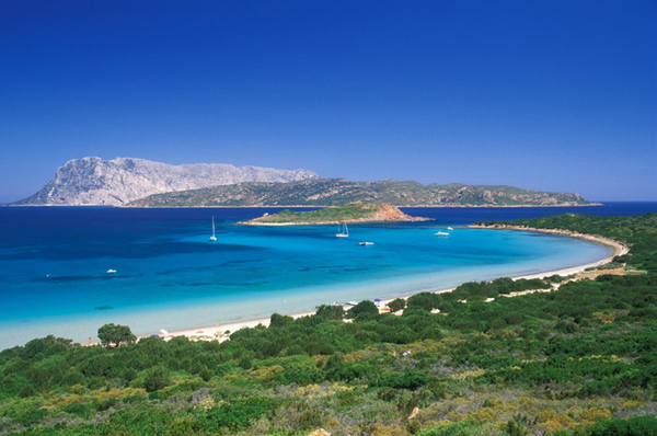 Capo coda di cavallo- a a white beach, Sardinia