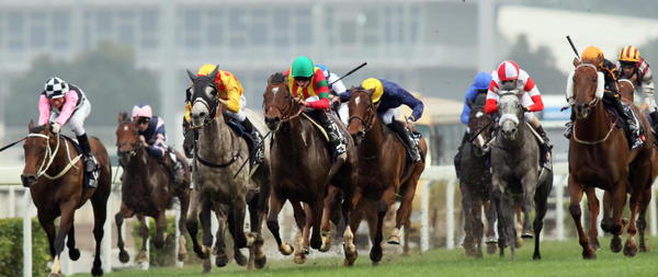 사진출처 : The Hong Kong Jockey Club