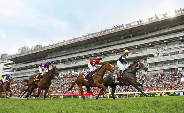 사진출처 : The Hong Kong Jockey Club