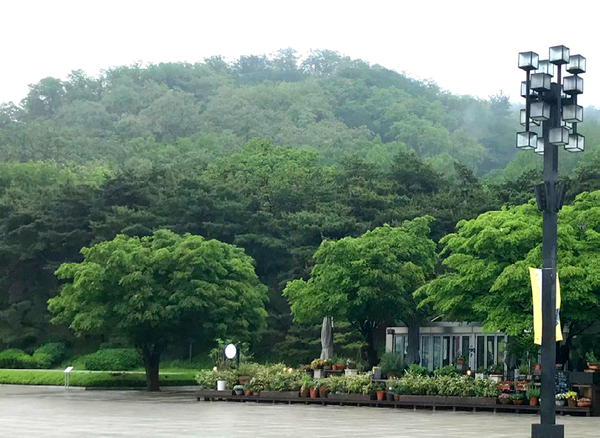 우면산 아래 예술의전당 뒷마당