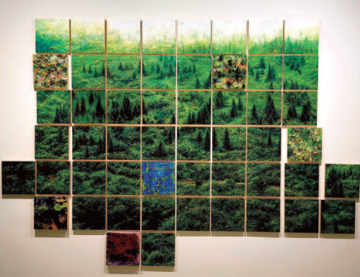 Instant Landscape-Gumgil, A Portion in a whole #2, 2020,합판에 유채, 185×260cm(25×25cm 53점)