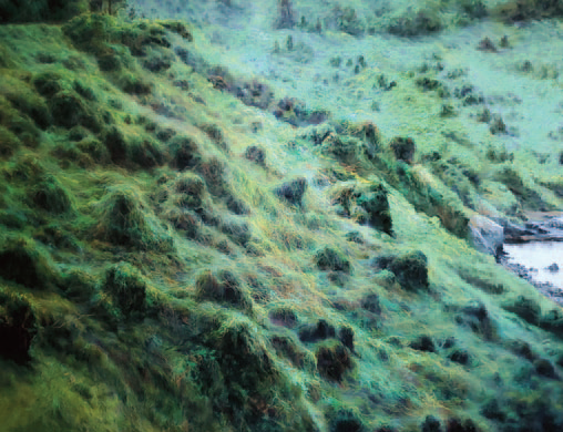 김남표, Instant Landscape-Gumgil #7, 2020캔버스에 파스텔과 유채(116.8×91cm)