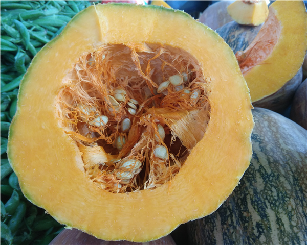 Inside of Zucca Violina- Mantua
