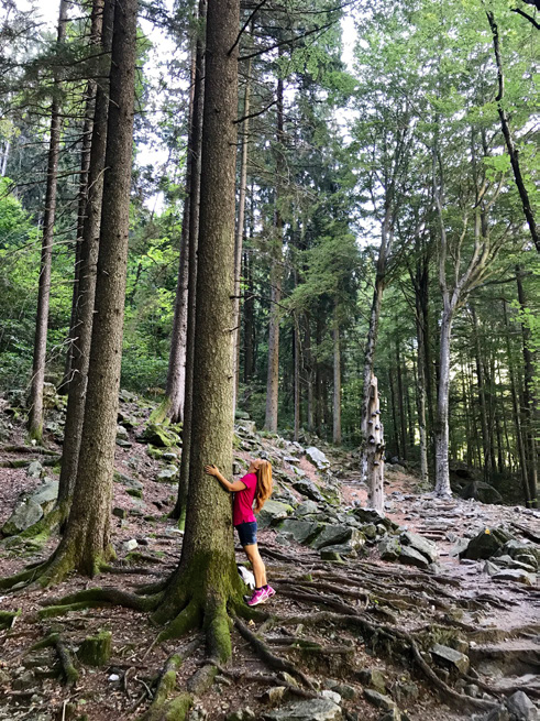 베르자스카 계곡 옆 숲길