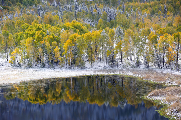 알타이의 가을 풍경