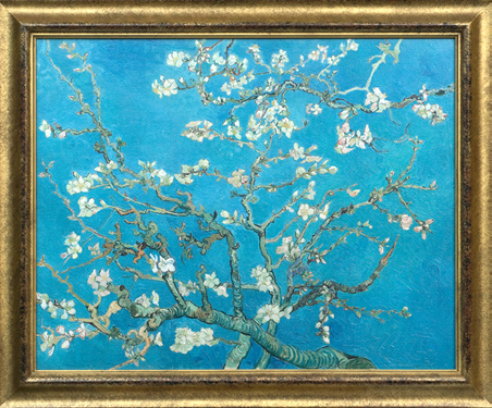 꽃 피는 아몬드 나무