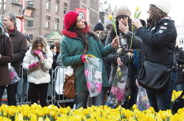 암스테르담 사람들