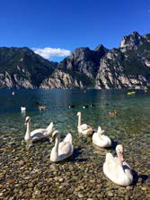 Torbole 마을 가르다 호수의 아름다움