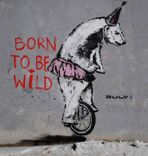 Born to be Wild, Banksy