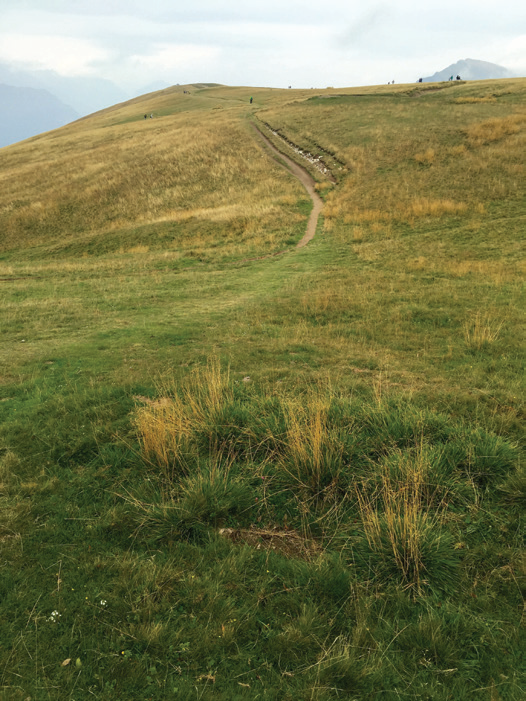 몬테 발도 정상 풍경 2