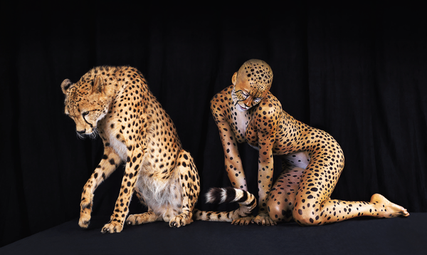Ani-Human Cheetah Study 34710x19 and 80x42 inches