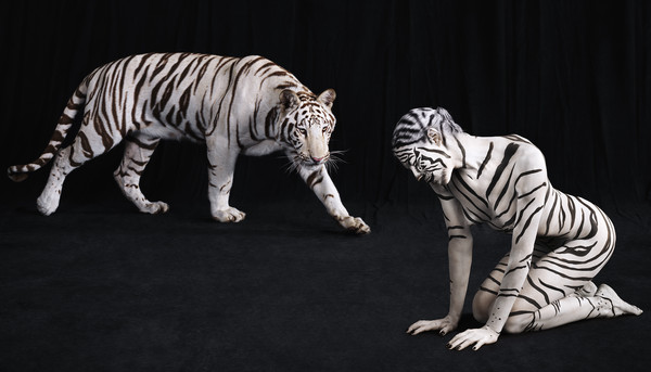 Ani-Human White Tiger 321