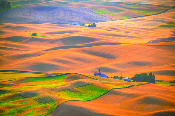황금들녘으로의 초대