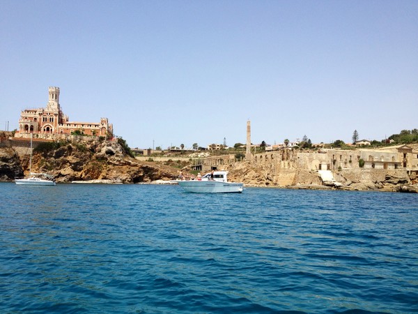 Tafuri성과 참치작업장 전경