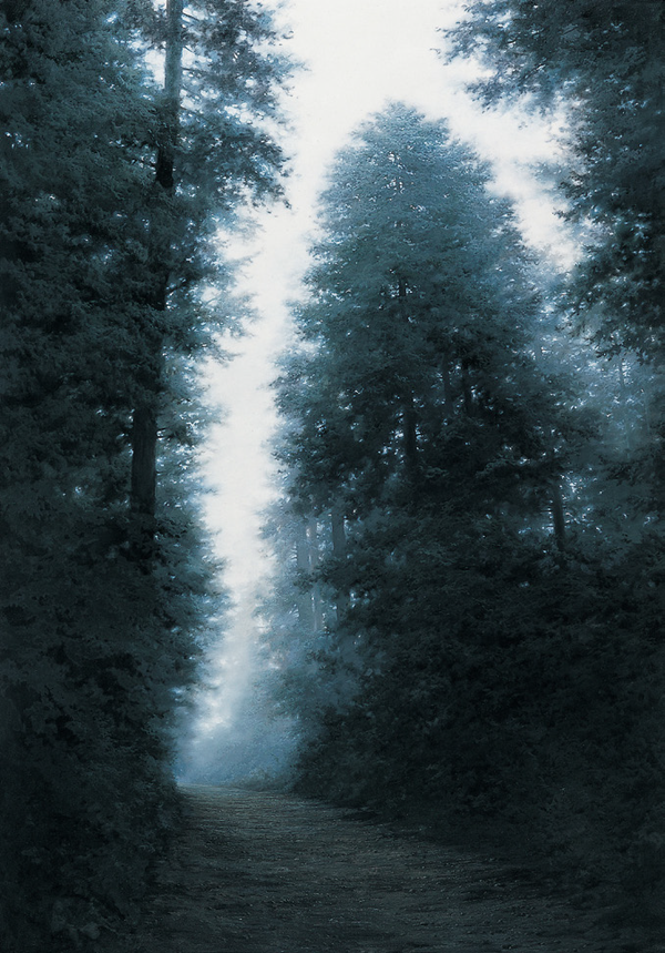 도성욱, Condition-Light, 캔버스에 유채, 162×112cm, 2008