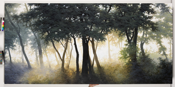 도성욱, Condition-Light, 캔버스에 유채, 120x300cm, 2011