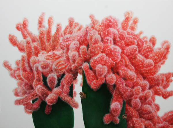 Cactus No.71, 캔버스에 유채, 107.5×145.5cm, 2011