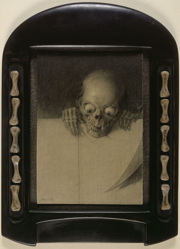 Duvocelle_Crane aux yeux exorbites