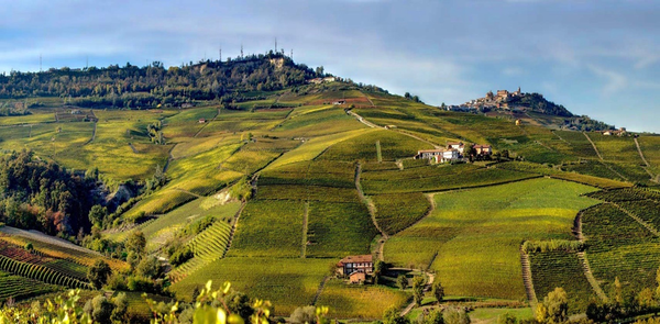 Langhe- The country side of wine  Barolo - Barbera  - Nebiolo