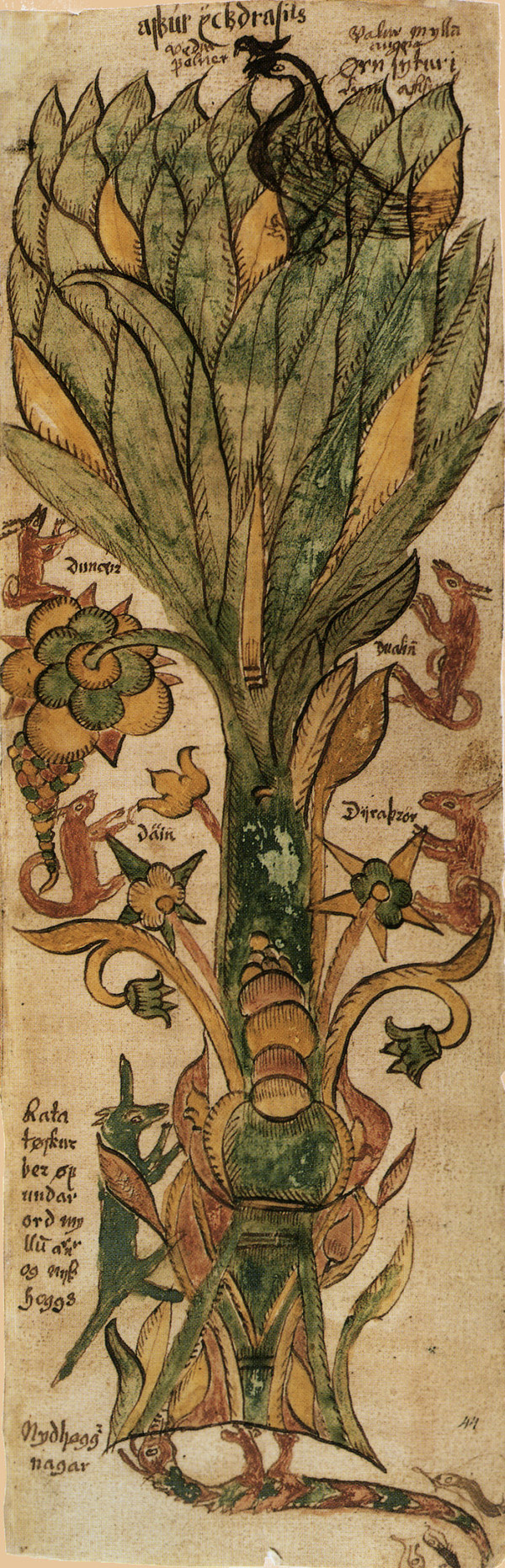Yggdrasil - Tree of life in  Norse Cosmology-1300- Icelandic manuscript