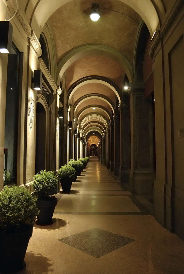 Porticoes of Bologna jpg
