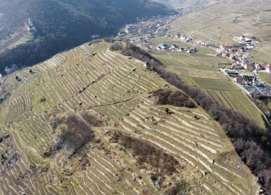1,000 아이머베르크
