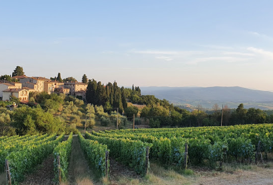 Castello di Fonterutoli