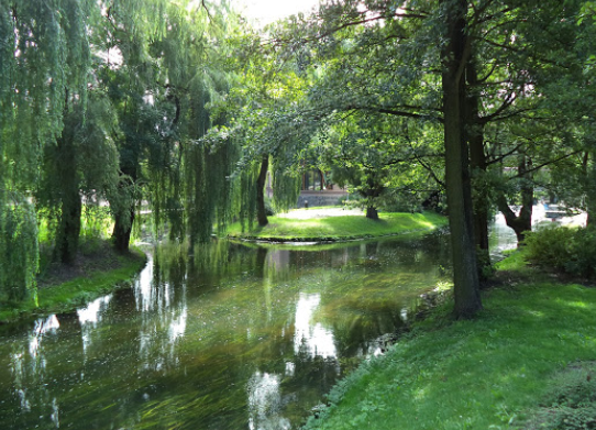 ​The Podzamcze Park​