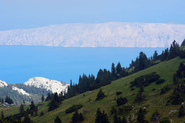 Mountain Velebit