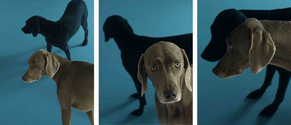 39762_Blue Monday Wednesday Friday