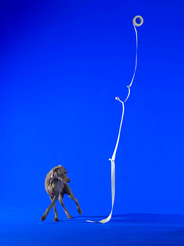 36085_Cursive Display_2013