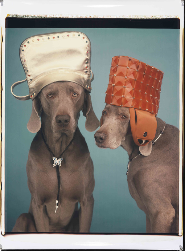 Head Wear Neck Wear_2000